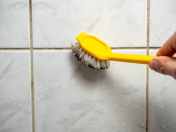 Best Post-Remediation Services in Keshena, WI