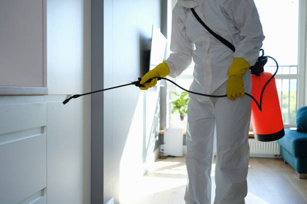 Best Crawl Space Mold Remediation in Keshena, WI