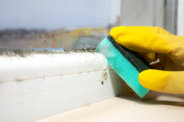 Best Industrial Mold Remediation in Keshena, WI